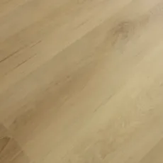 Blonde Oak